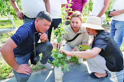 弘揚“中國-中亞精神”，推進共同現代化
